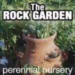 The Rock Garden