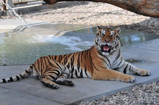 Getaway in PA: Lake Tobias Wildlife Park is Family Affair | State ...