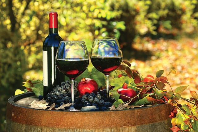 From the Vine: Pinot Noir is Right for Fall