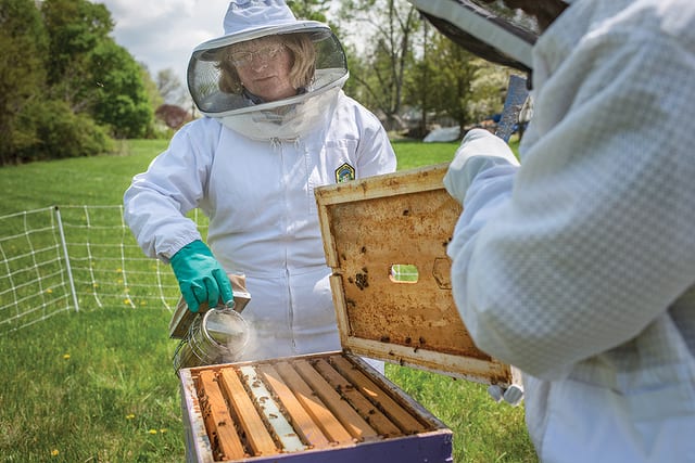 Beekeepers Club — Students — Penn State College of Agricultural