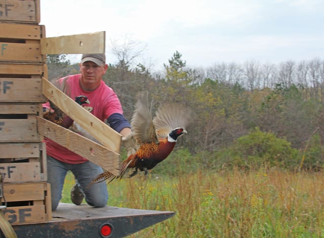 Small game hunting seasons set to open State College PA