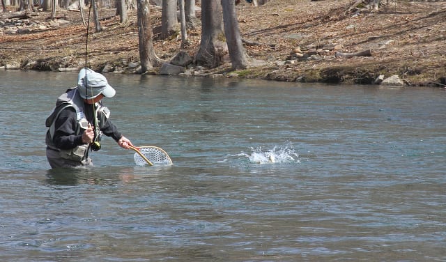 Trout Fishing Opens on County Streams This Weekend | State College, PA