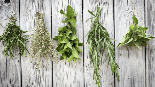 Easy Tips for Growing Herbs in Containers