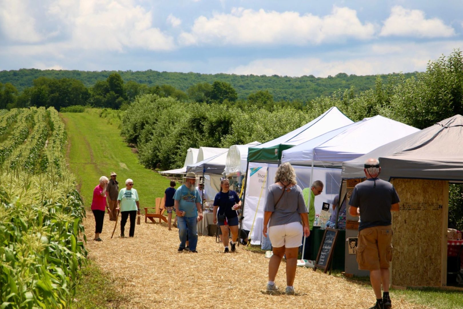 State College - art in the orchard