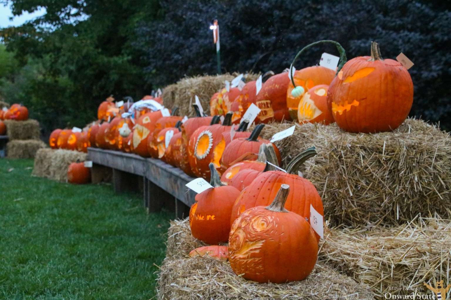 Arboretum Holds Annual Pumpkin Festival State College, PA