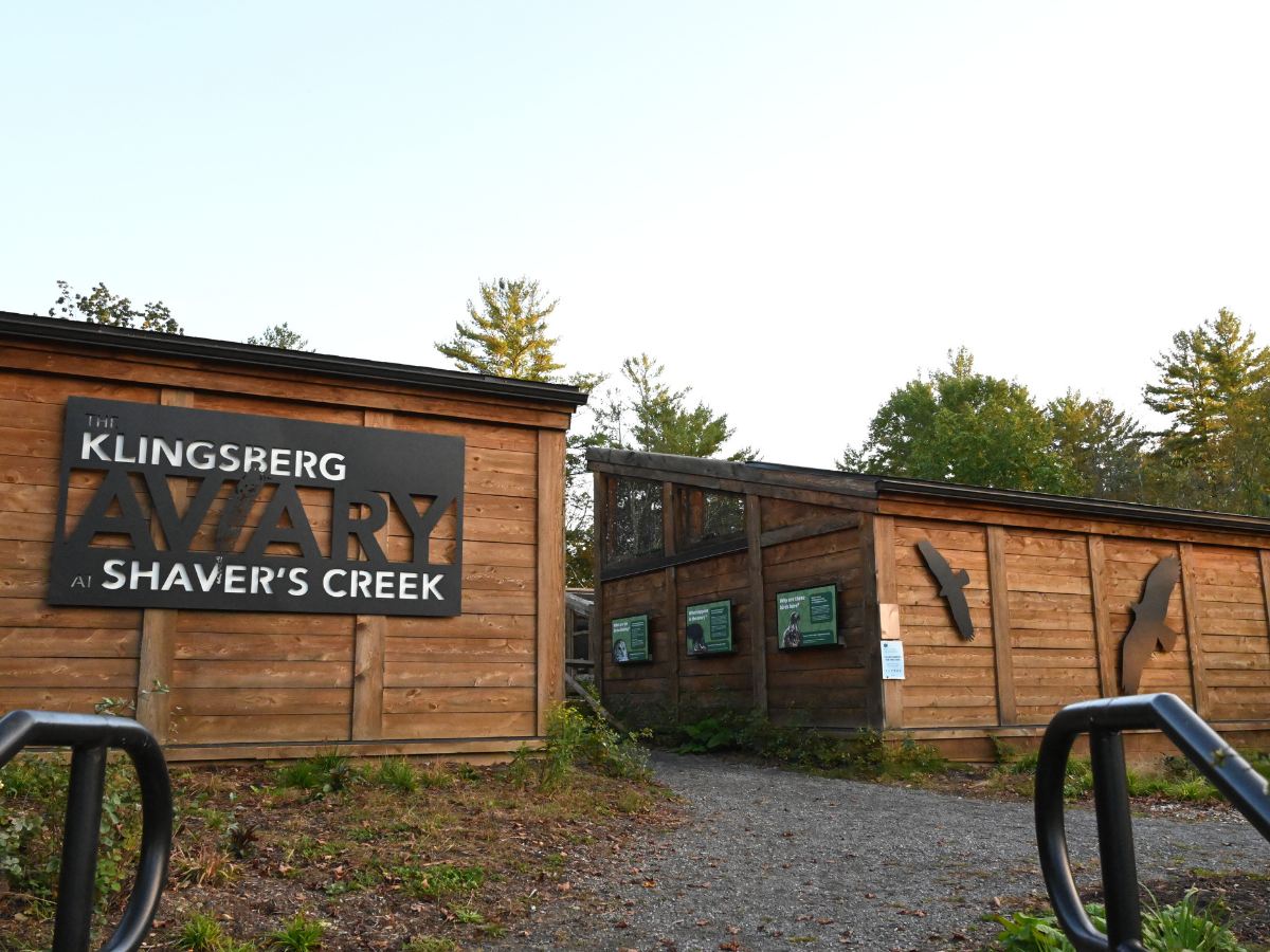 State College - Klingsberg Aviary