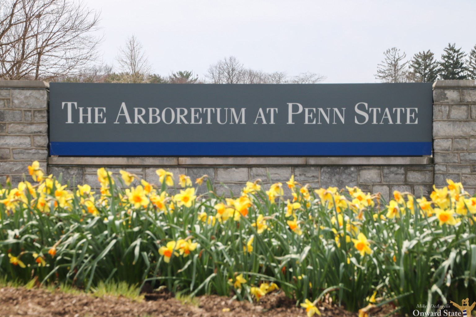 The Arboretum at Penn State sign on a stone wall with yellow flowers in front