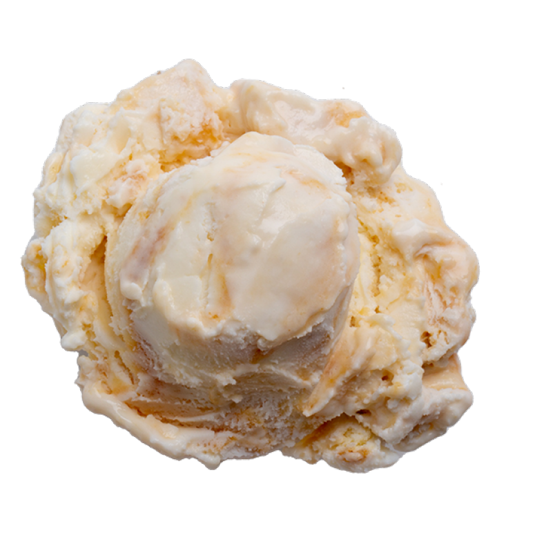 Penn State Creamery Ice Cream