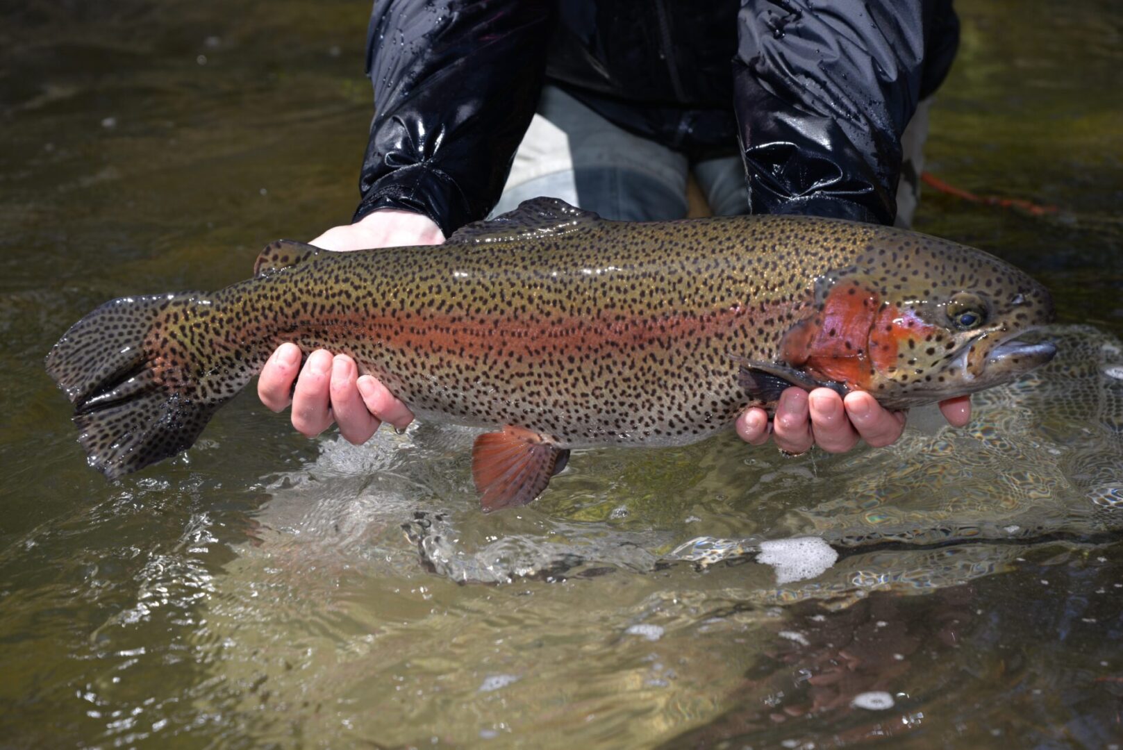 2023 trout stocking schedule now available Centre County Gazette