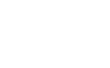 Vitruvian Leadership