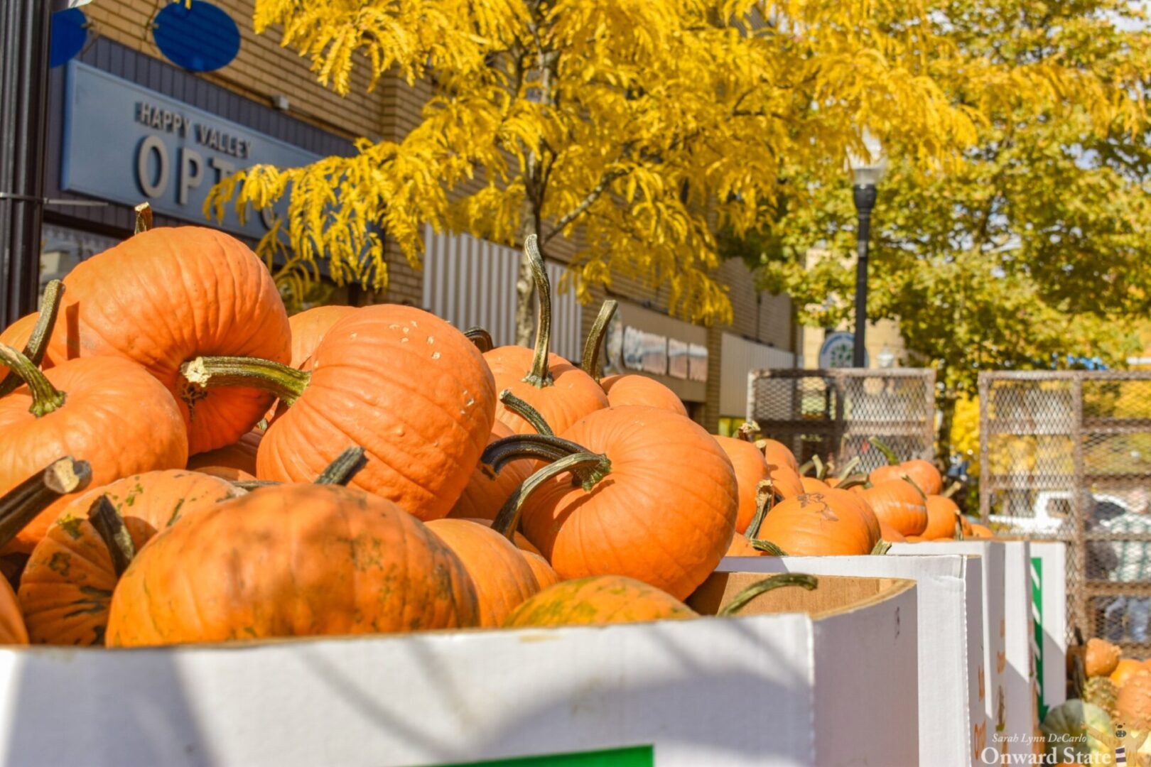 State College - fallfestival10-15_-43