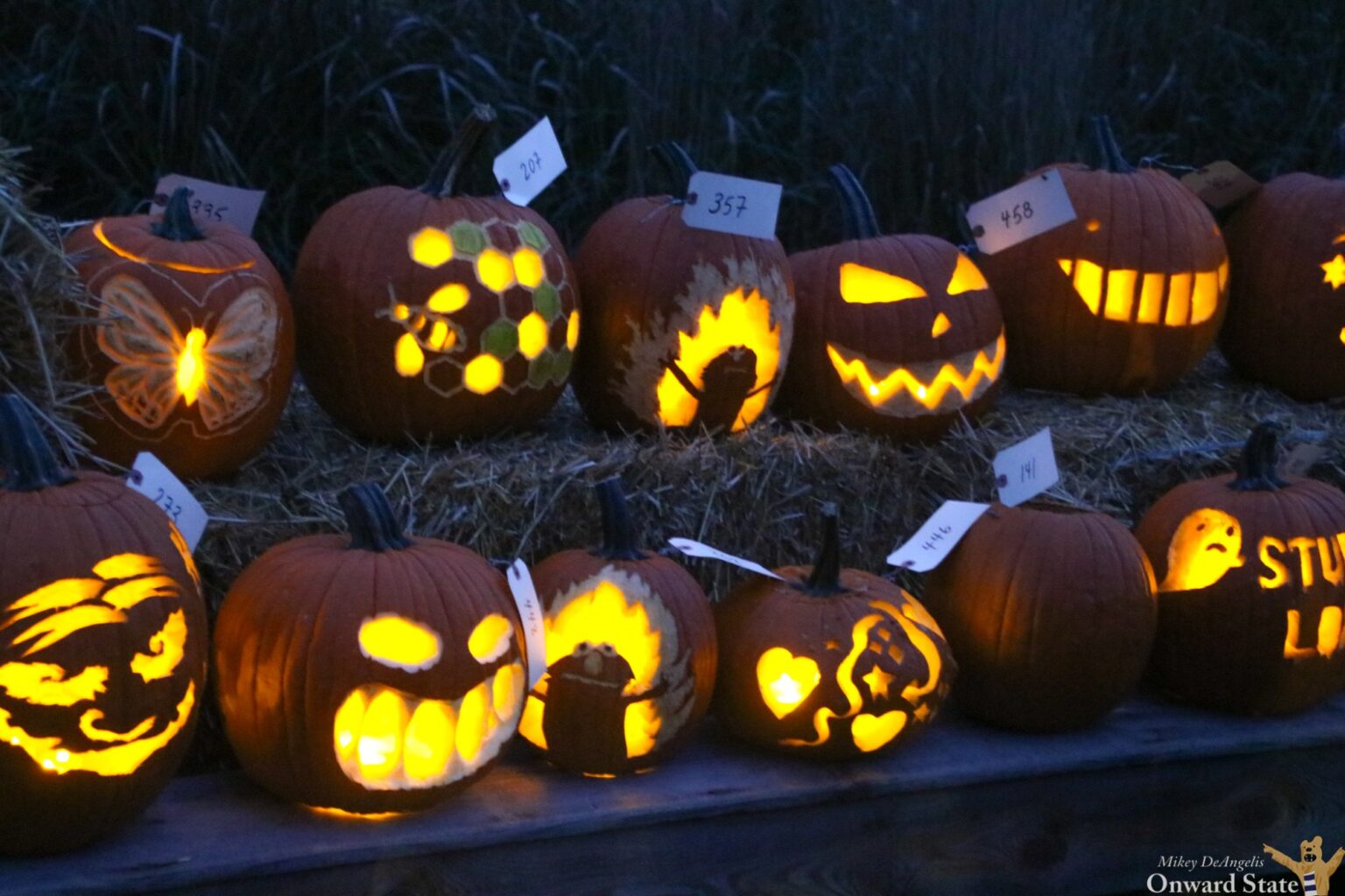 Arboretum at Penn State to Celebrate Fall with Pumpkin Festival | State ...