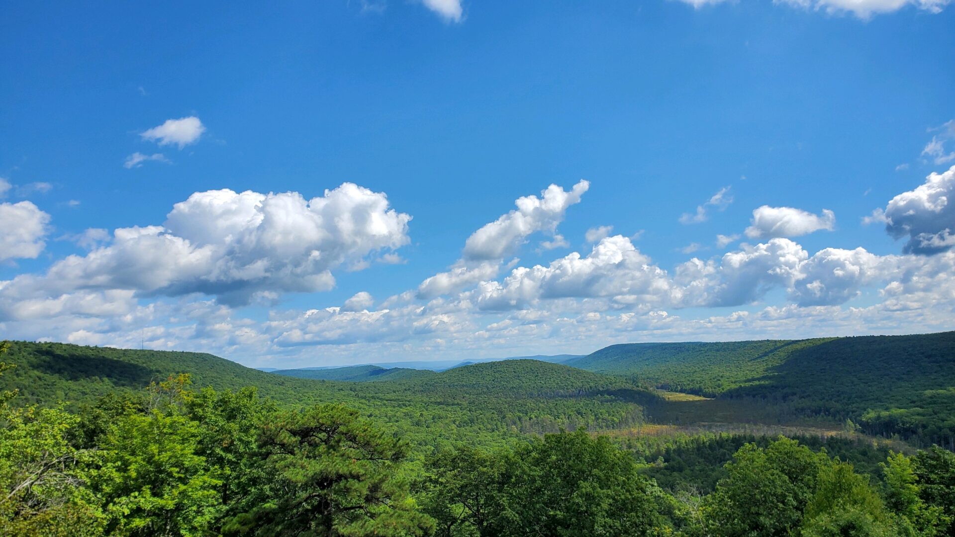 State College - View of Bear Meadows from North Meadows Road