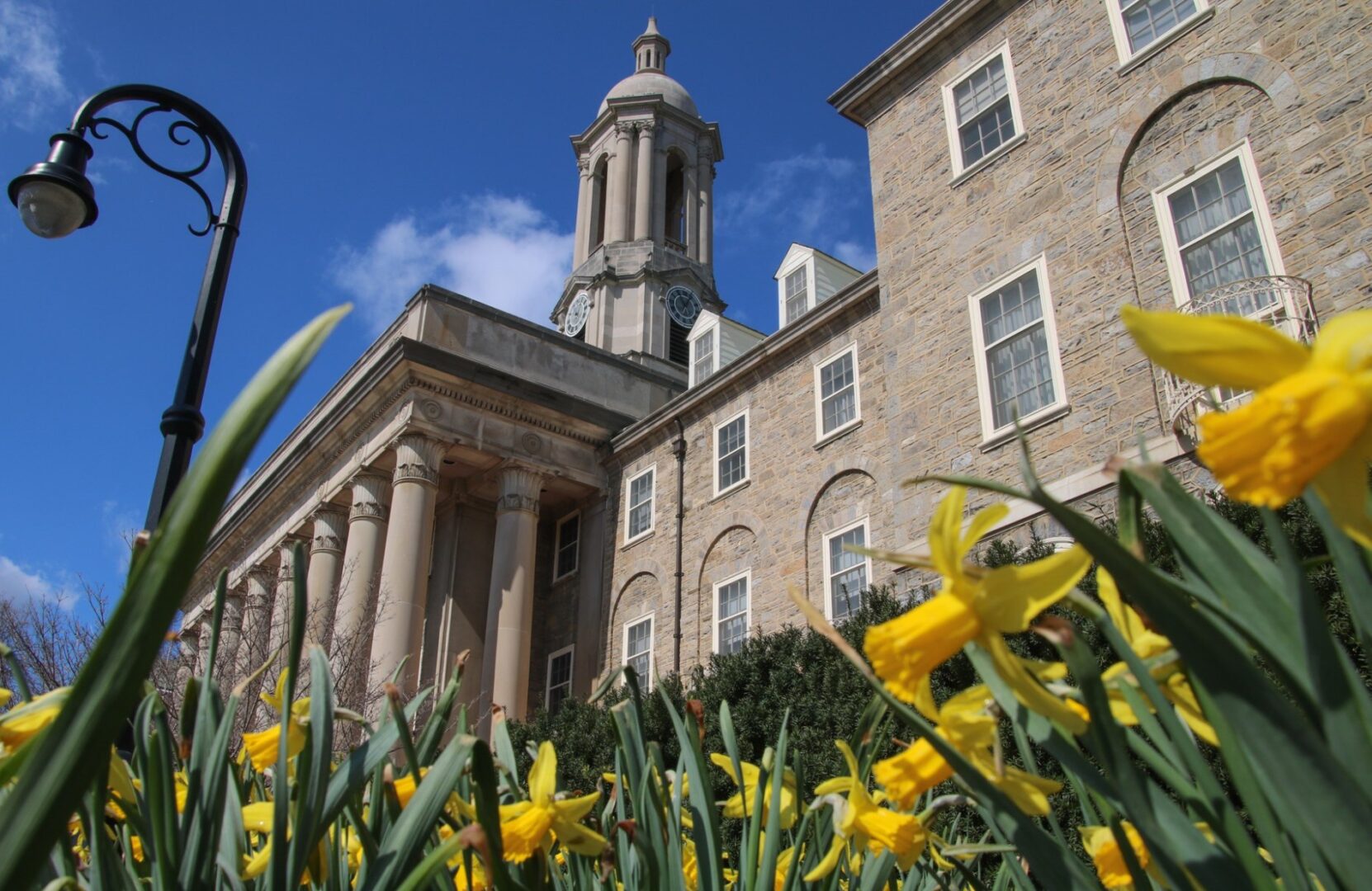 Yellow flowers blossom in front of Penn State's Old Main building
