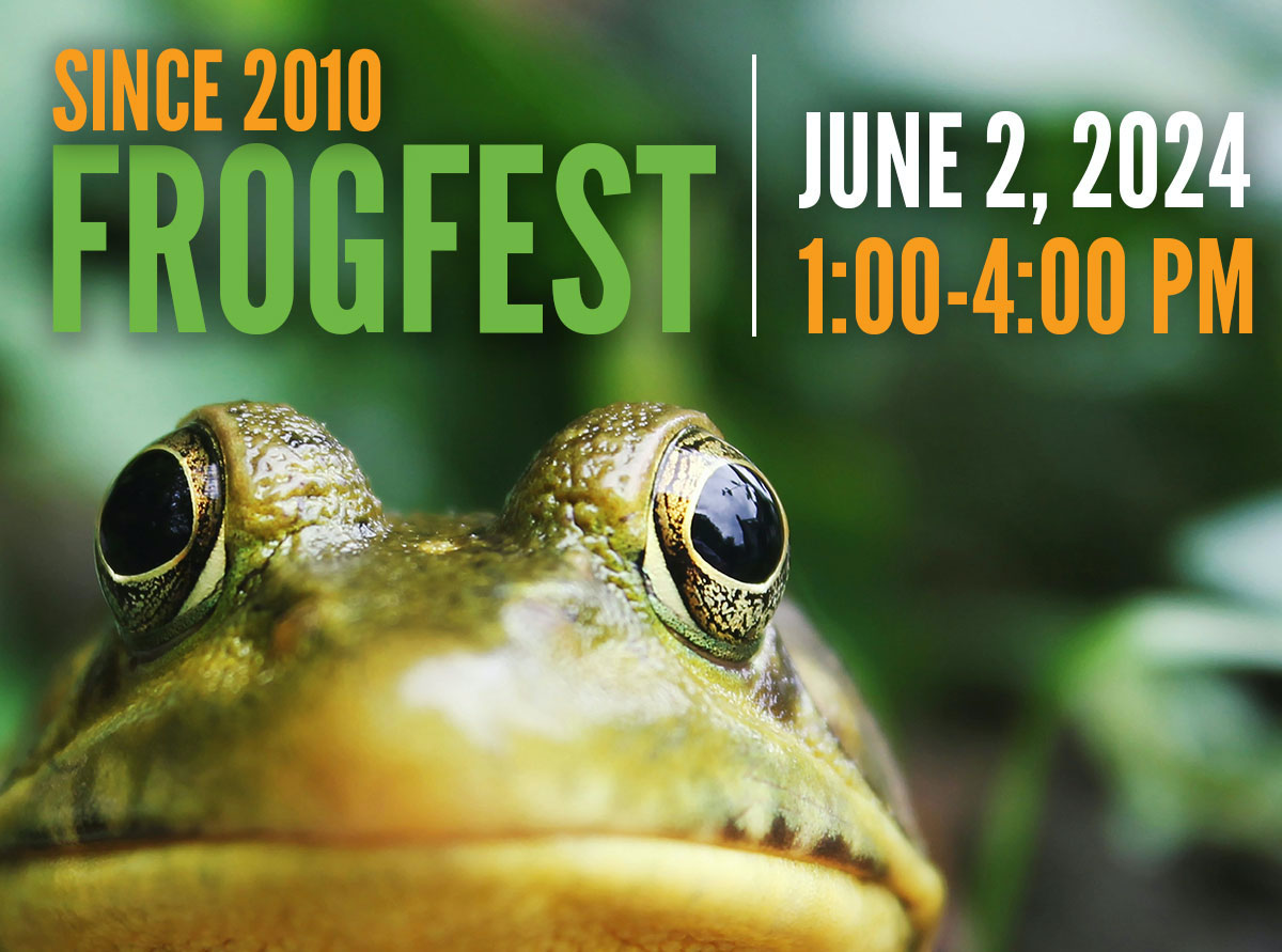 Hop On Over to FrogFest 2024