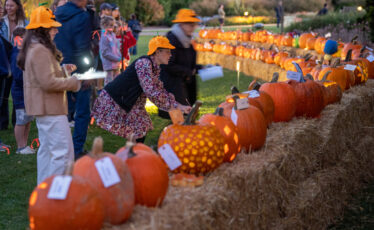 First Night of Arboretum’s Pumpkin Fest Draws Thousands