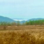 A Sunday Hike as Winter Nears Stirs Thoughts of Joy and Sorrow