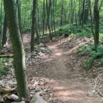 11 Miles of New Trails to Improve Access to Rothrock State Forest