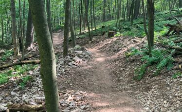 11 Miles of New Trails to Improve Access to Rothrock State Forest