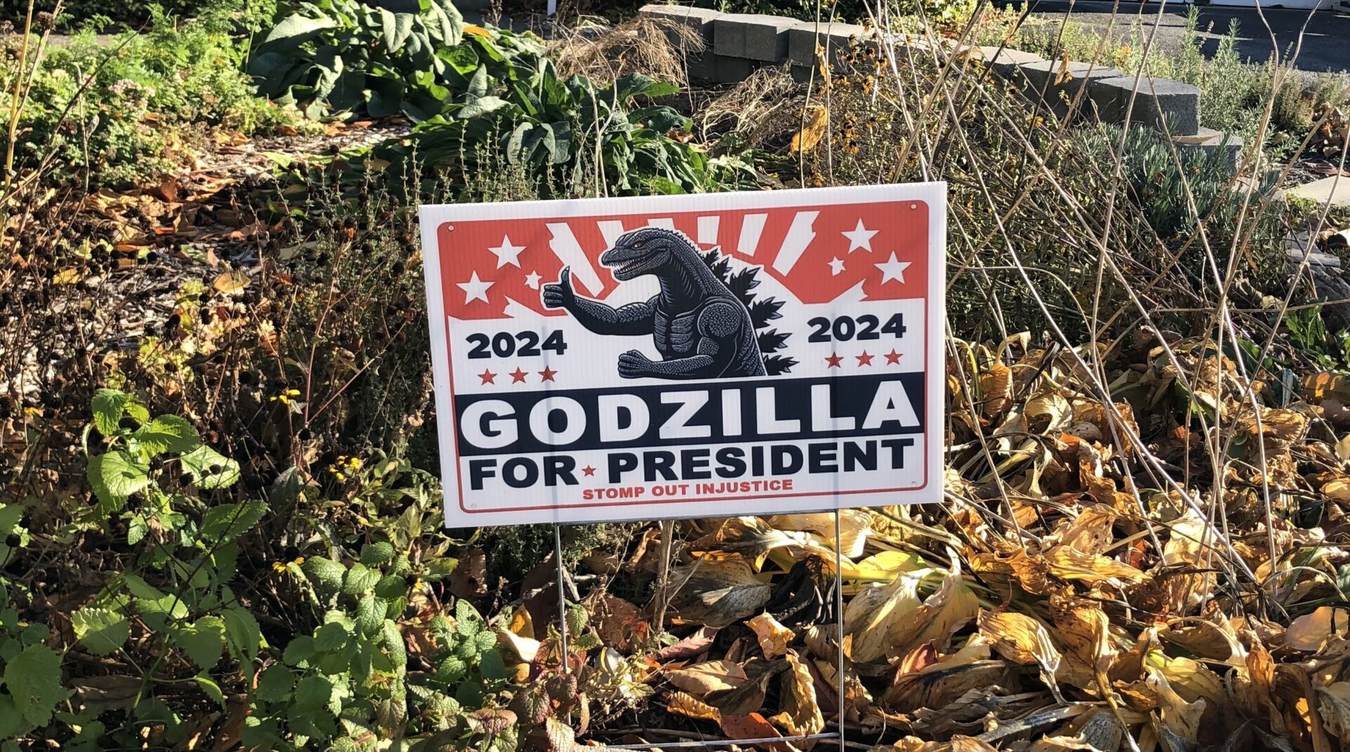 State College - godzilla for president