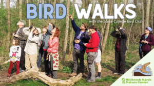 Bird Walks with the State College Bird Club FB event