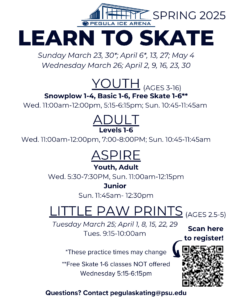 Learn to Skate CORRECT